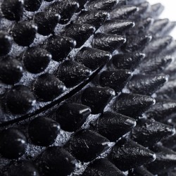 Deco Box Parrot 40cm Ref 51066