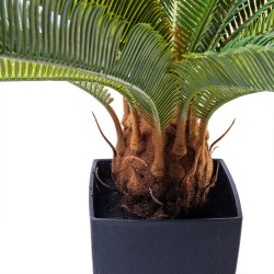 Kare Deco Plant Cycas Tree 78cm Ref 61200