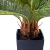 Kare Deco Plant Cycas Tree 78cm Ref 61200