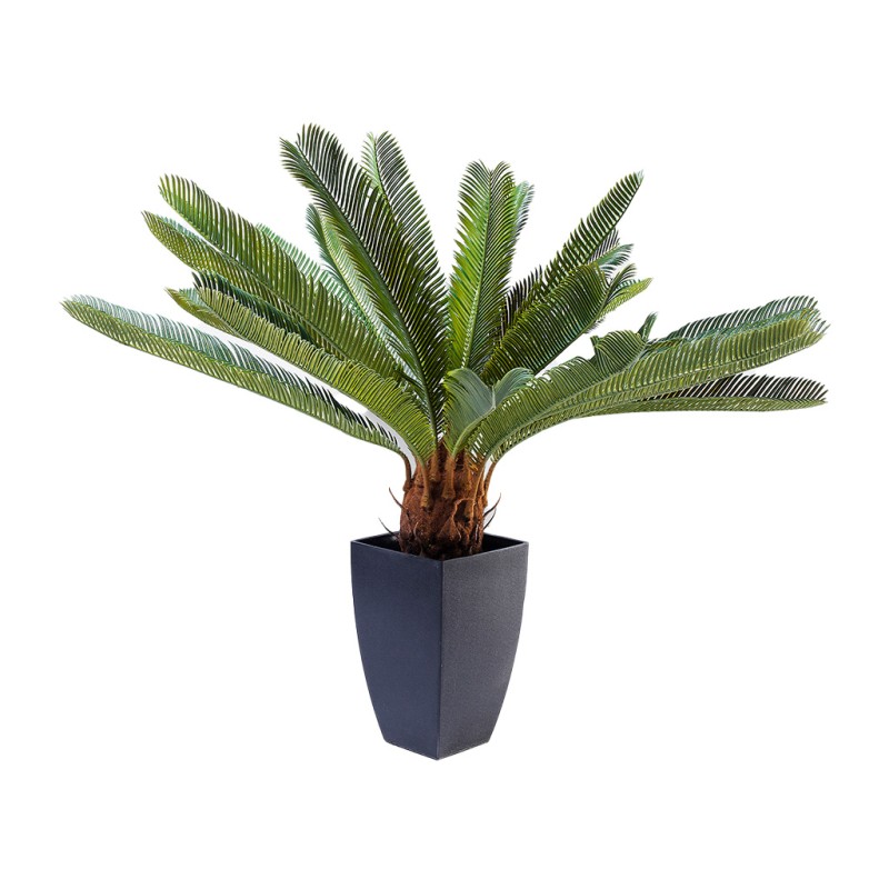 Deco Plant Cycas Tree 78cm Ref 61200