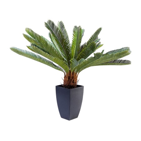 Deco Plant Cycas Tree 78cm Ref 61200