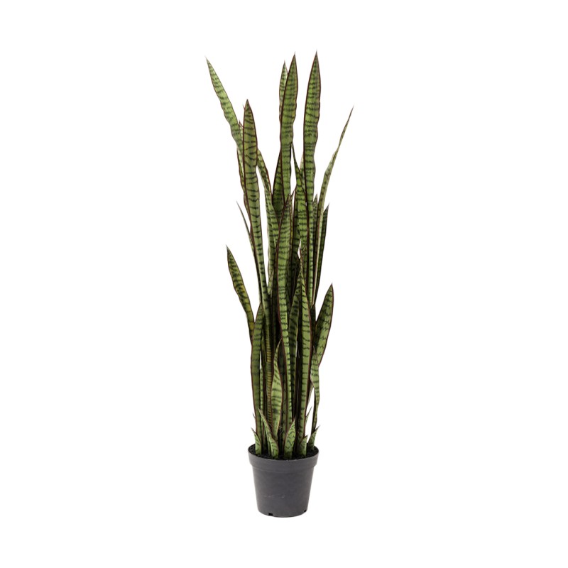 Kare Deco Plant Sansewieria 155cm Ref 60718