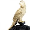 Kare Deco Box Parrot 40cm Ref 51066