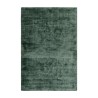 Rug Seaburry Teal 170x240cm Ref 53774