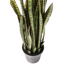 Kare Deco Plant Sansewieria 155cm Ref 60718