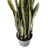 Kare Deco Plant Sansewieria 155cm Ref 60718