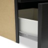 IKEA Kallax Insert With 2 Drawers Black-Brown Ref 90286649