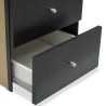 IKEA Kallax Insert With 2 Drawers Black-Brown Ref 90286649